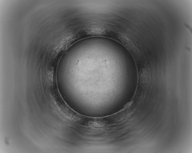 X0000103140739200808221215