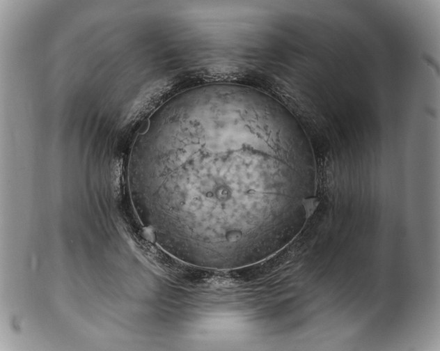 X0000103140742200808221215