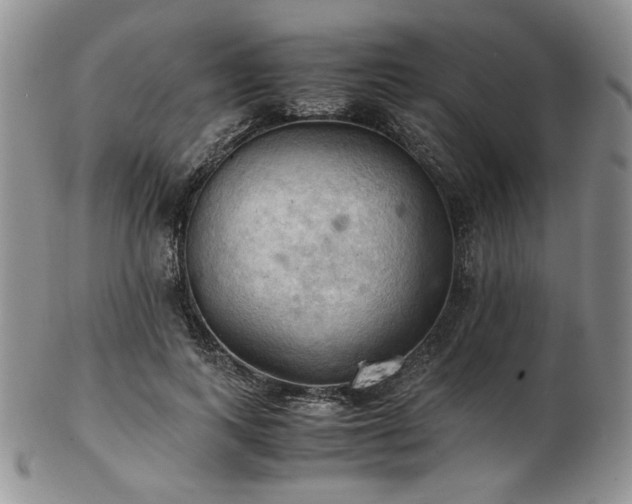 X0000103140743200808221215