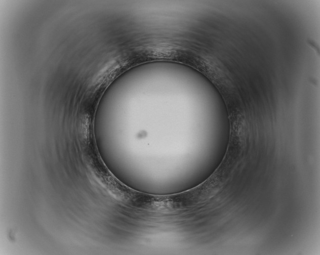 X0000103140744200808221215