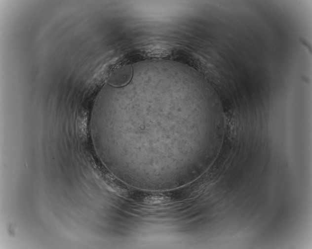 X0000103140745200808221215