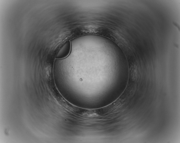 X0000103140747200808221215