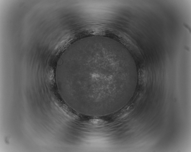 X0000103140748200808221216