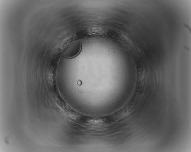 X0000103140749200808221216