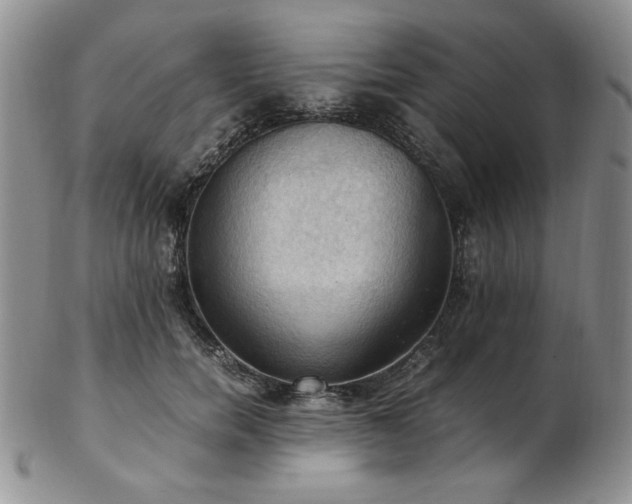 X0000103140750200808221216