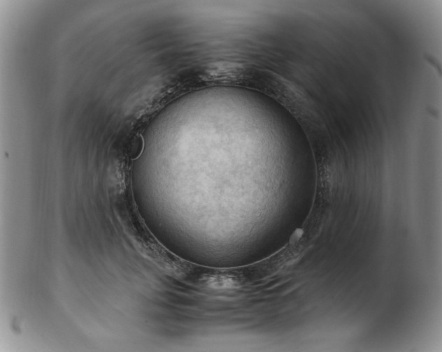 X0000103140751200808221216