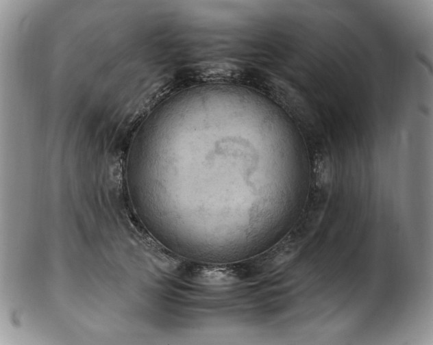 X0000103140753200808221216