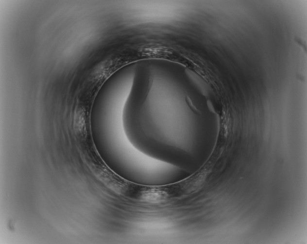 X0000103140754200808221216