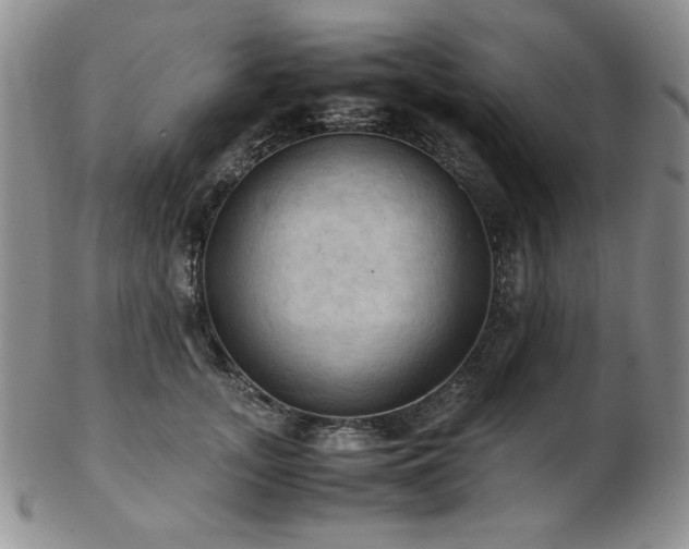 X0000103140755200808221216