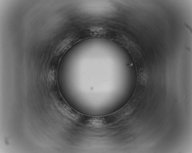 X0000103140756200808221216