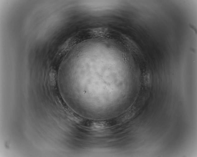 X0000103140757200808221216