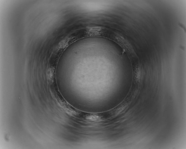 X0000103140759200808221216