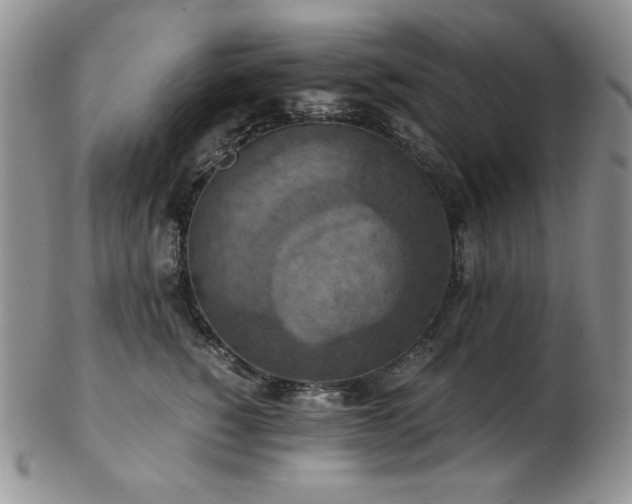 X0000103140760200808221216