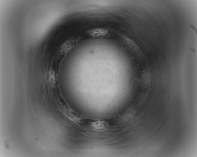 X0000103140761200808221216