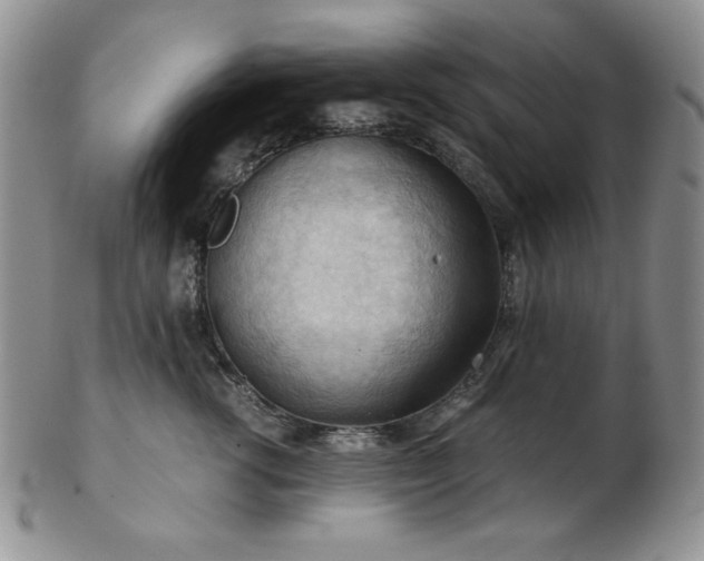 X0000103140762200808221216