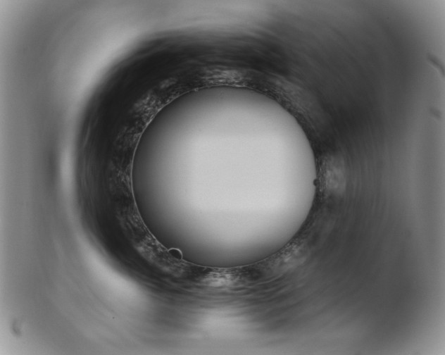 X0000103140764200808221216