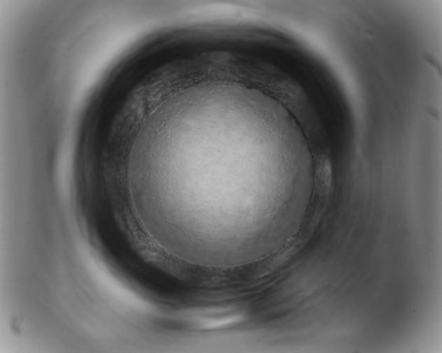 X0000103140765200808221216