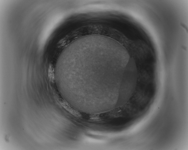 X0000103140766200808221216