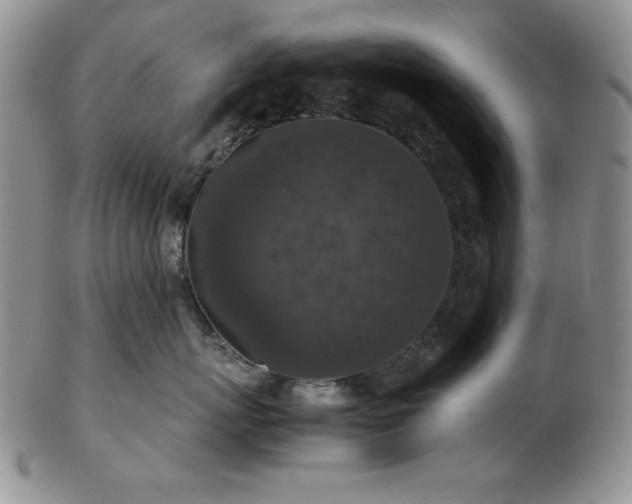 X0000103140767200808221216