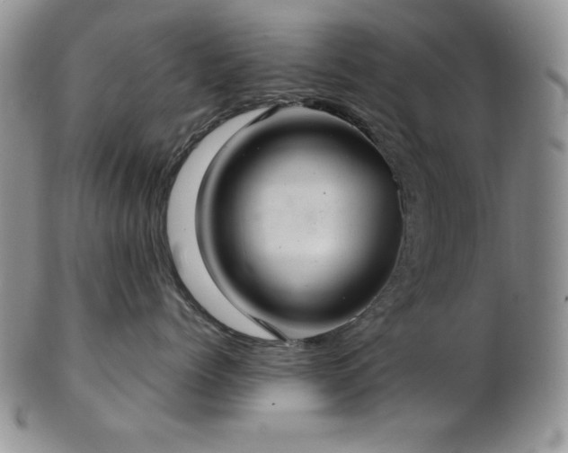 X0000103140768200808221216