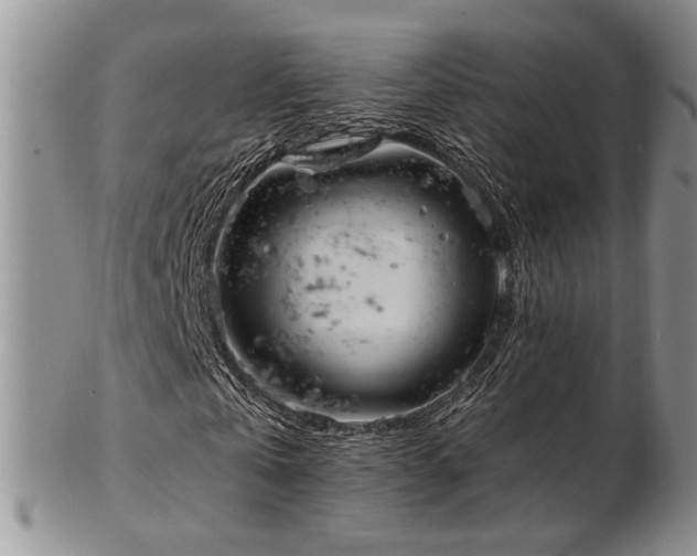 X0000103140769200808221215