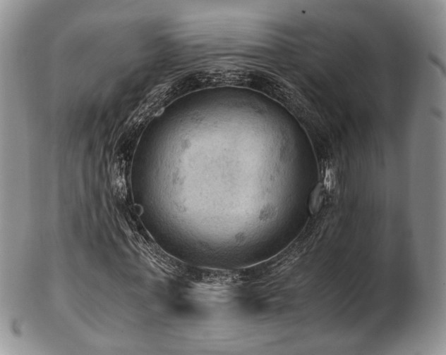 X0000103140771200808221215