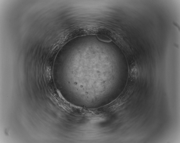 X0000103140772200808221215