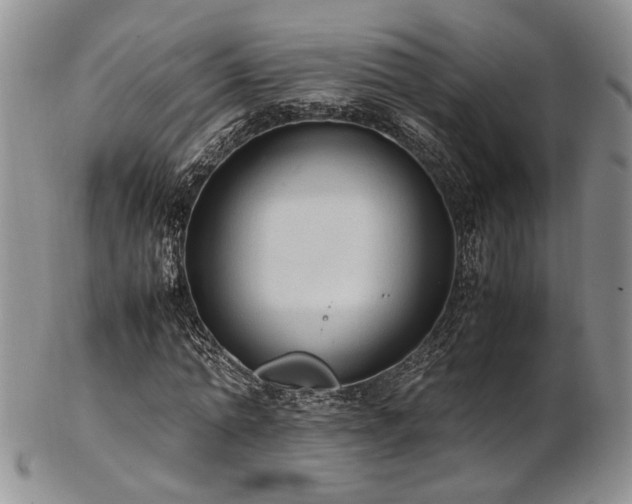 X0000103140774200808221215