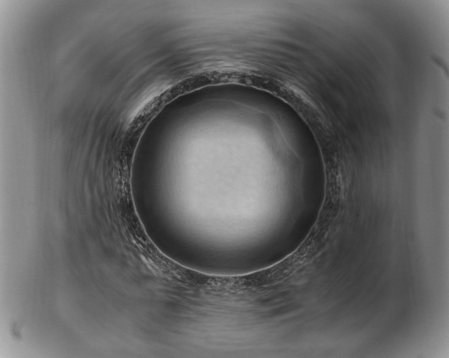 X0000103140775200808221215