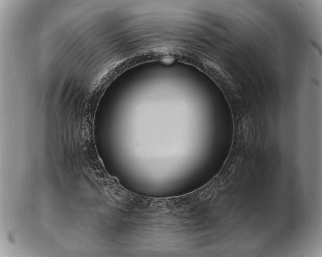 X0000103140776200808221215