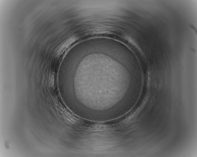 X0000103140777200808221215