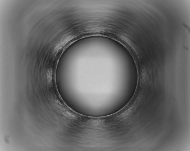 X0000103140778200808221215