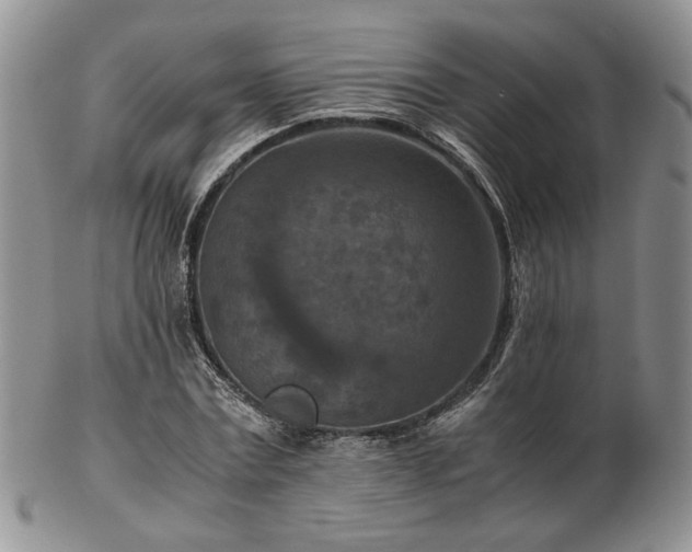 X0000103140779200808221215