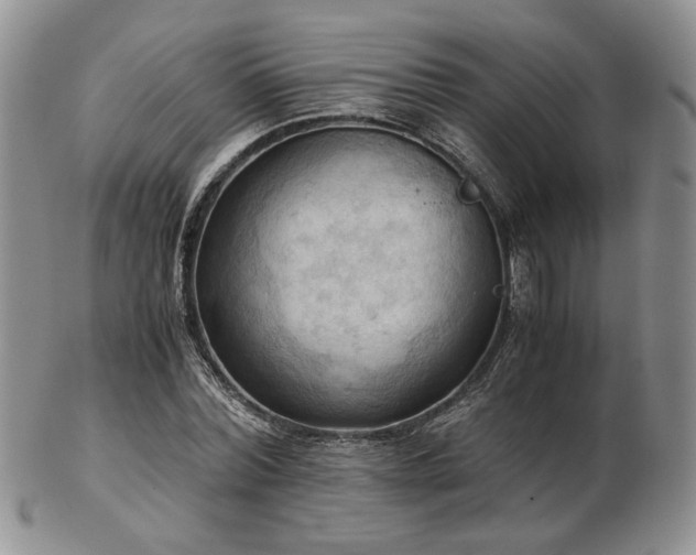 X0000103140780200808221215