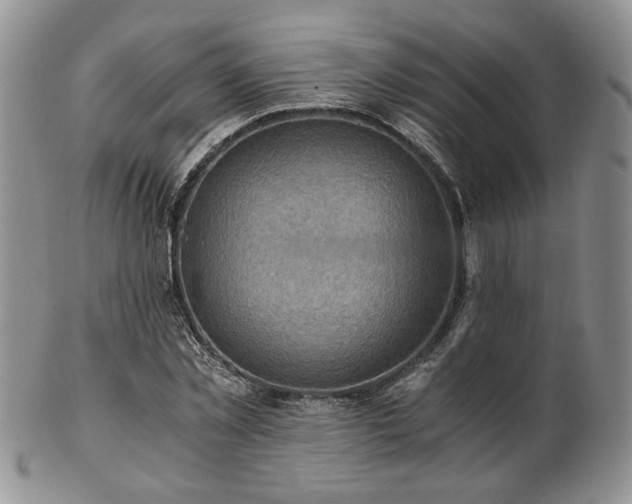 X0000103140781200808221215