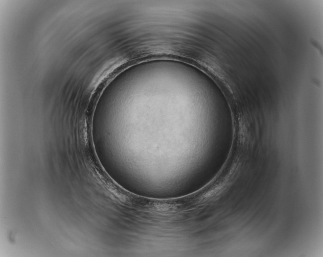 X0000103140782200808221215