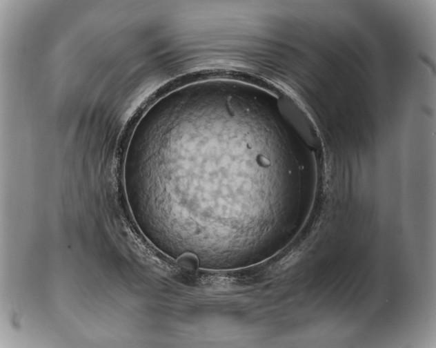 X0000103140783200808221215