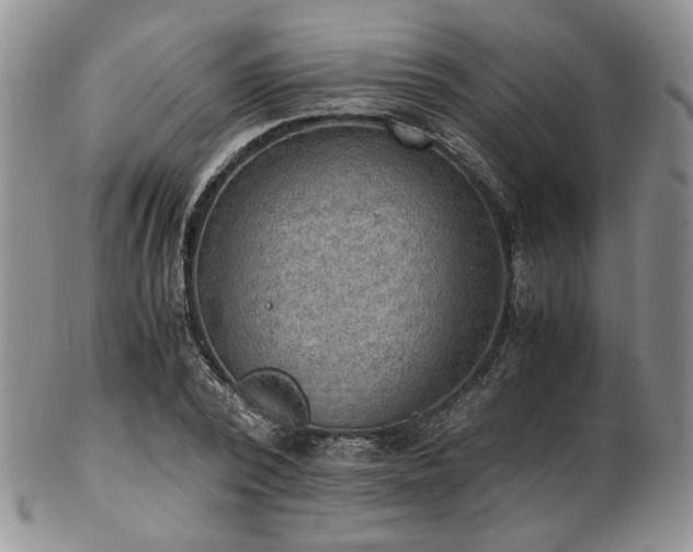 X0000103140784200808221215