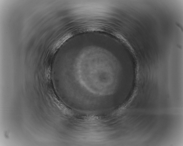 X0000103140785200808221215