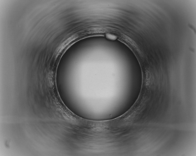 X0000103140786200808221215