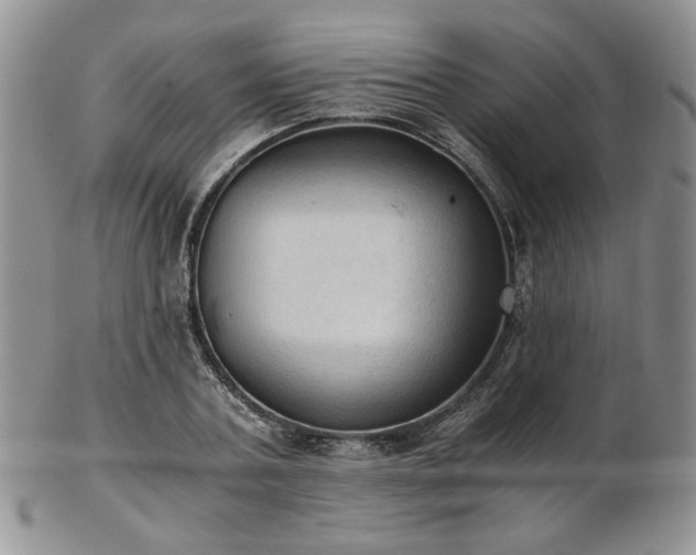 X0000103140787200808221215