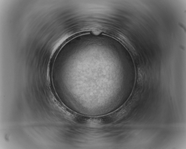 X0000103140788200808221215