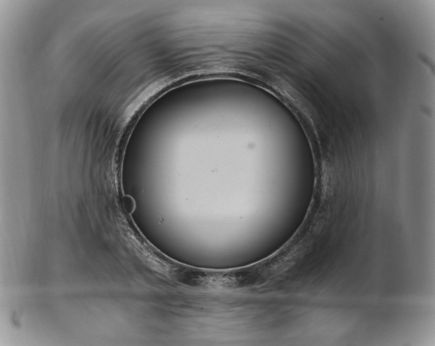 X0000103140789200808221215