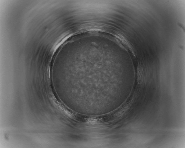 X0000103140790200808221215