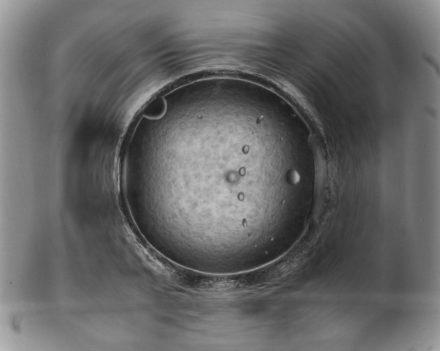 X0000103140791200808221215