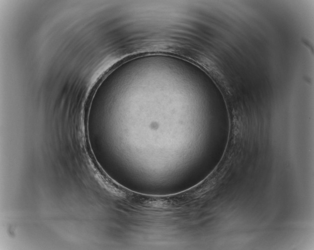 X0000103140792200808221215