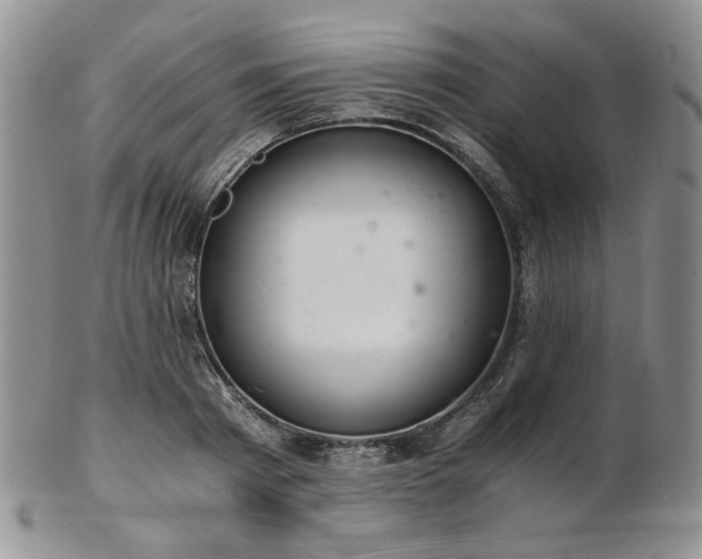 X0000103140793200808221215