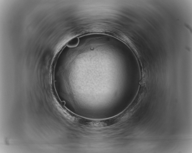 X0000103140795200808221215