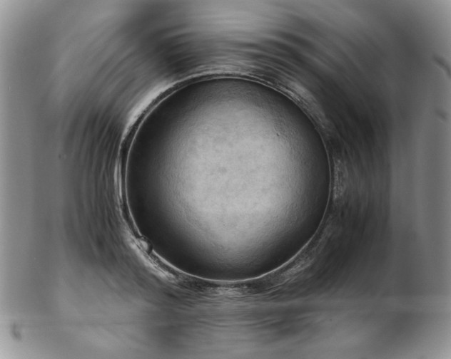 X0000103140796200808221215