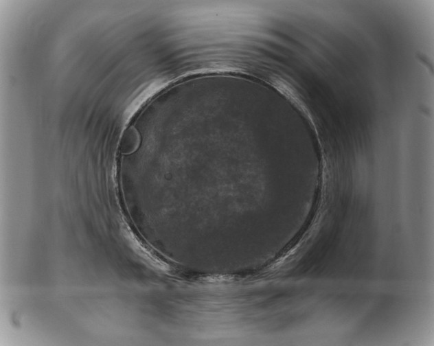 X0000103140797200808221215